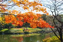 昭和記念公園