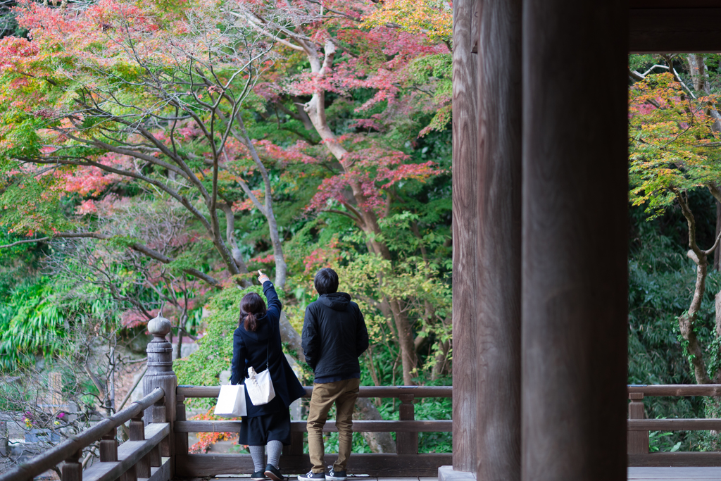 鎌倉・妙本寺