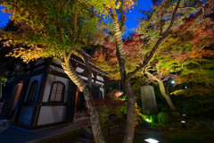 長谷寺　紅葉ライトアップ
