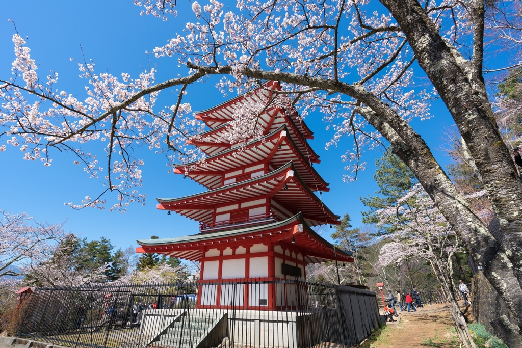 新倉山浅間公園