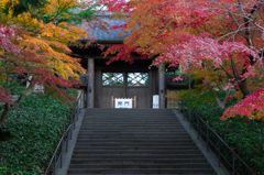 円覚寺　開門前