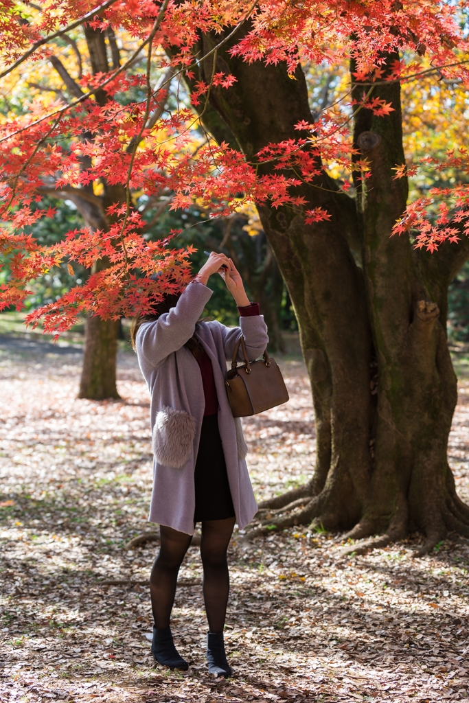 昭和記念公園