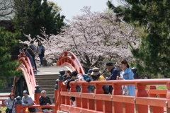 2019春の称名寺