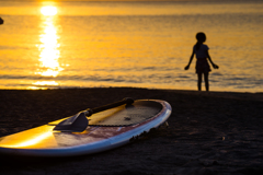 黄金色の森戸海岸