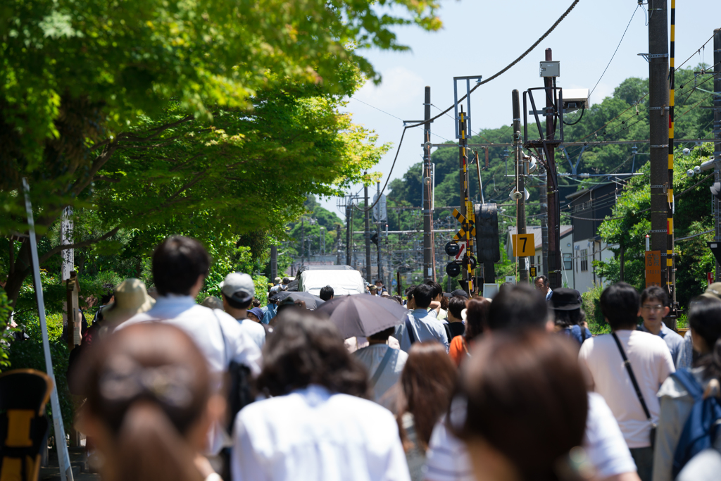 紫陽花シーズンの北鎌倉　激混み