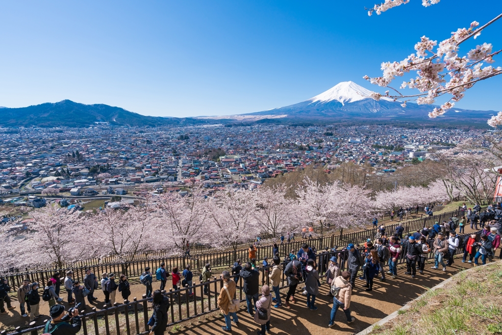 新倉山浅間公園からの富士山