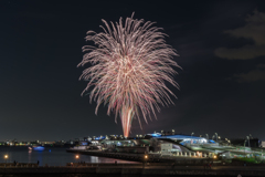 横浜ナイトフラワーズ