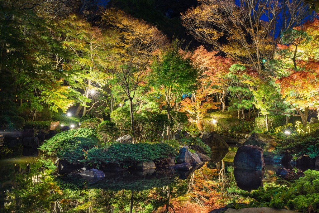 大磯城山公園　紅葉ライトアップ