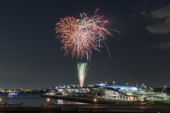 横浜ナイトフラワーズ