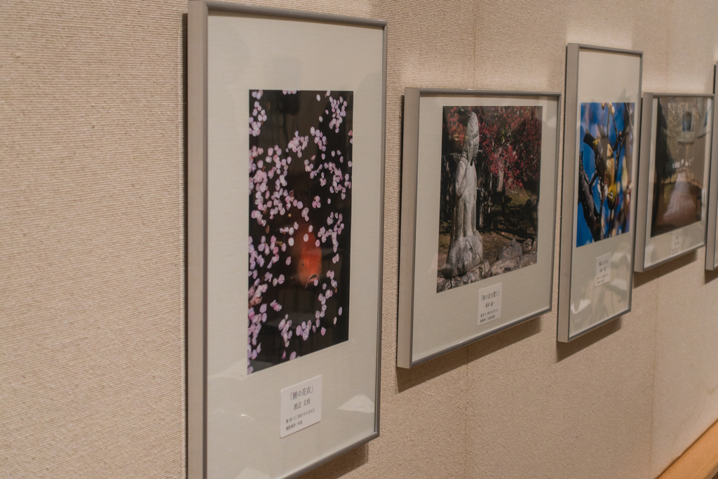 三渓園フォトコンテスト表彰式