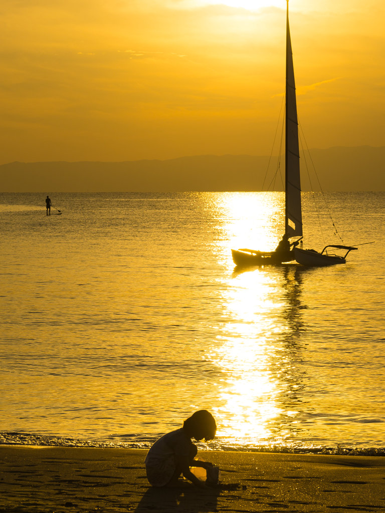 黄金色の森戸海岸