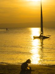 黄金色の森戸海岸
