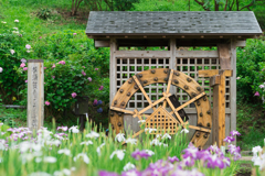 横須賀しょうぶ園
