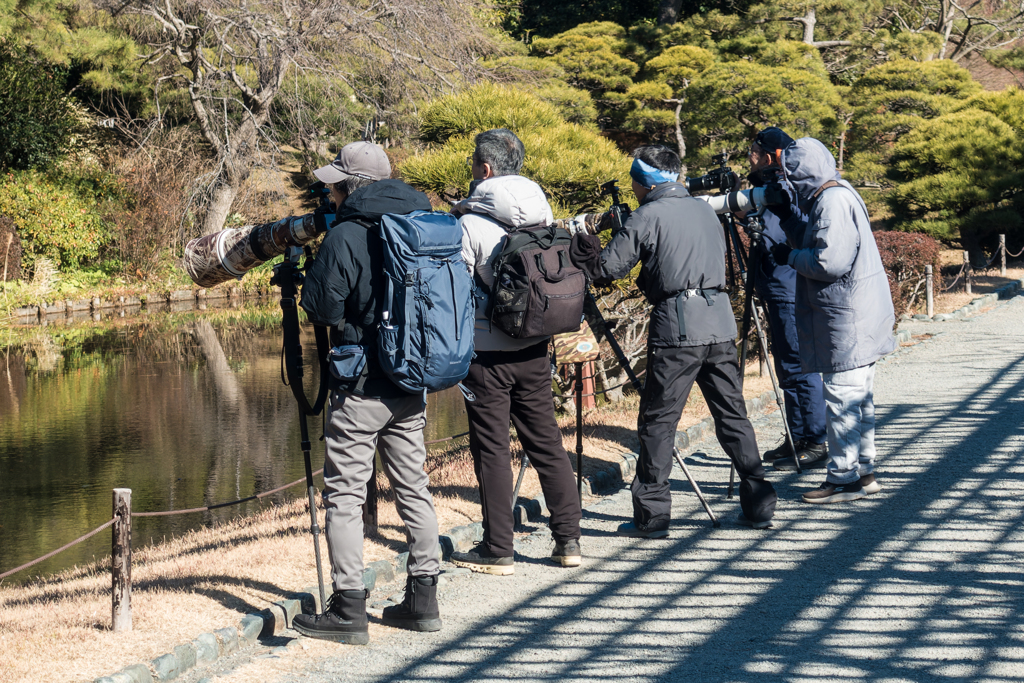 三渓園フォトコンテスト表彰式