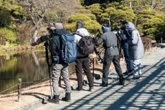 三渓園フォトコンテスト表彰式