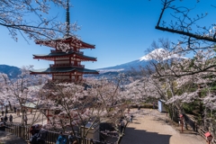 新倉山浅間公園　忠霊塔