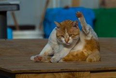 ちょっとだけよ