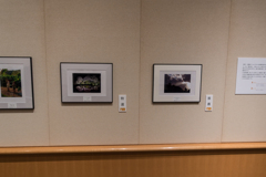 三渓園フォトコンテスト表彰式