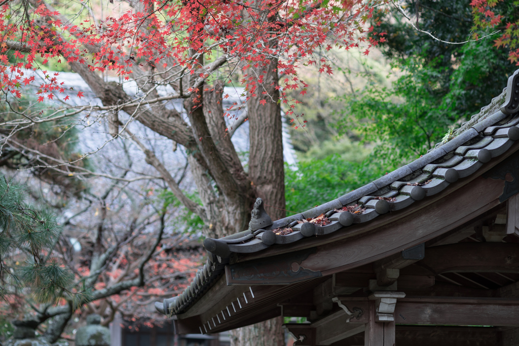 鎌倉・安国論寺