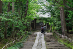鎌倉スナップ
