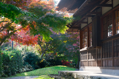 秋の三渓園