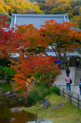 紅葉の円覚寺