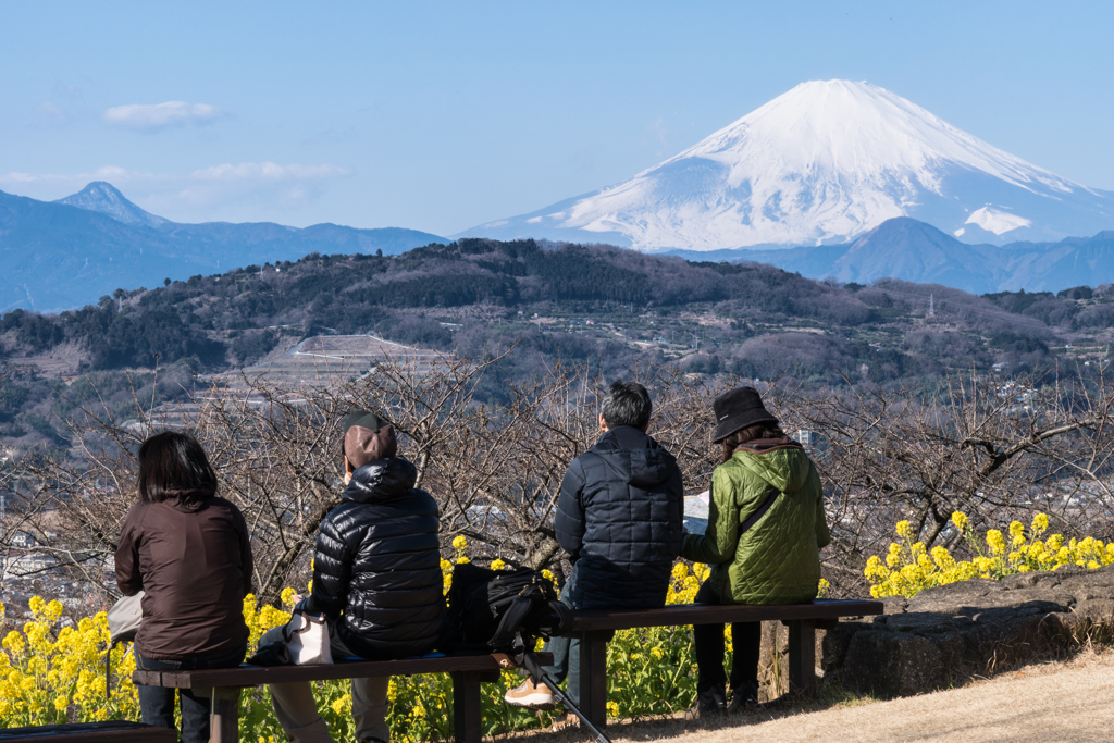 吾妻山公園