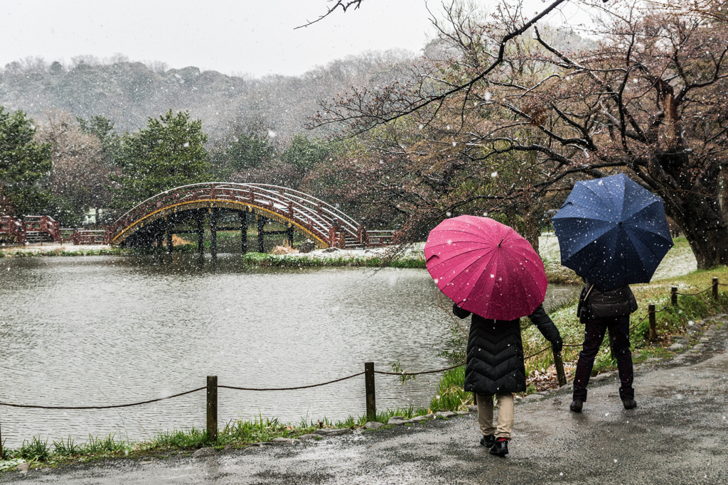 雪の日の称名寺