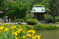 称名寺