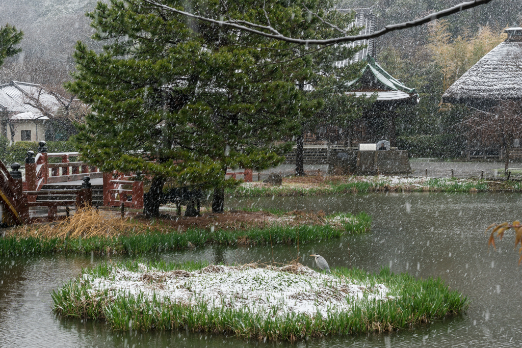 雪の日の称名寺