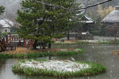 雪の日の称名寺