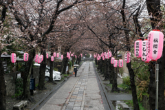 雪の日の称名寺