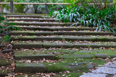鎌倉・妙本寺