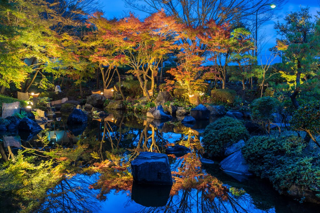 大磯城山公園　紅葉ライトアップ