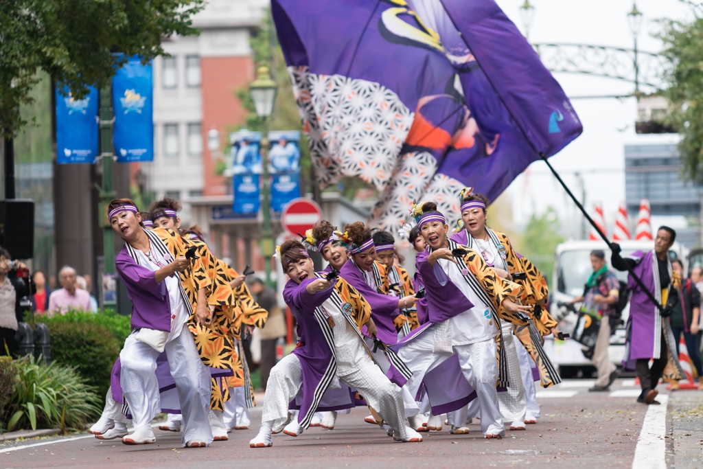 第4回　横浜よさこい祭り　馬車道編