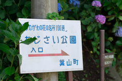あじさい公園