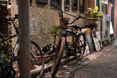 横浜　野毛飲み屋街