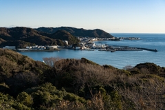 披露山公園からの風景