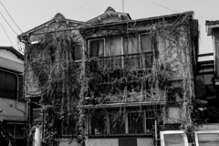 20180421　子安スナップ