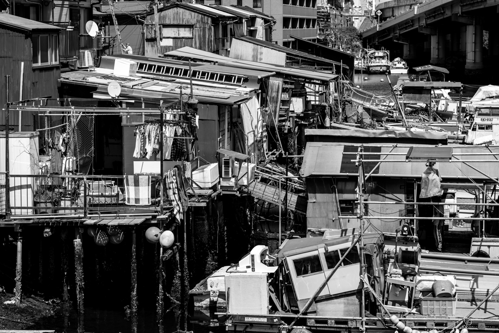 20180421　子安スナップ