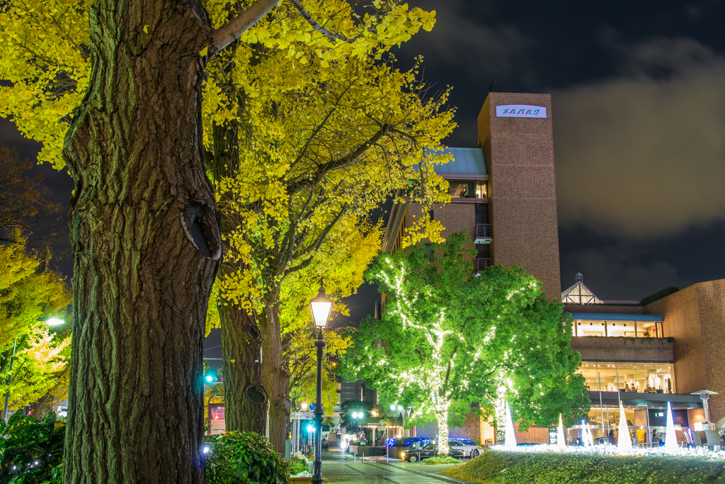 山下公園前イルミネーション
