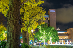 山下公園前イルミネーション