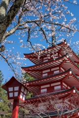 新倉山浅間公園　忠霊塔