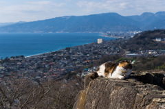 吾妻山公園のチャミちゃん