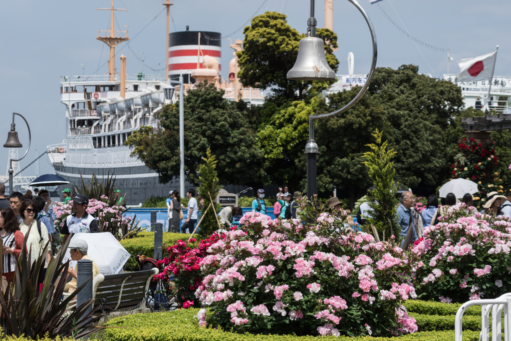 横浜トライアスロン2019