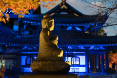 長谷寺　紅葉ライトアップ