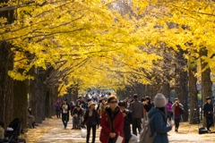昭和記念公園