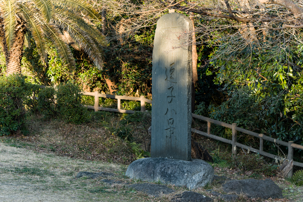披露山公園