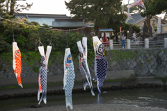 森戸神社の鯉のぼり