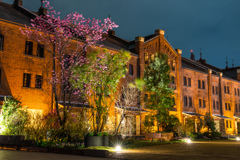 赤レンガ倉庫　中庭フラワーガーデン